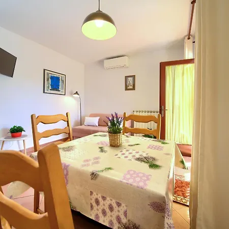 Apartment Sokolovski