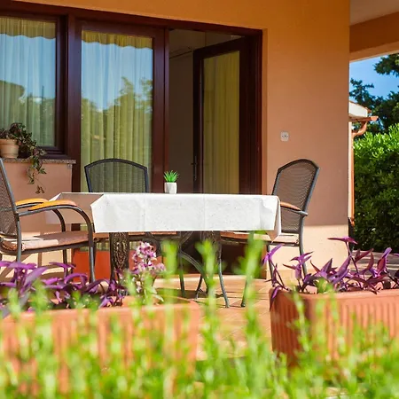 דירה Sokolovski *