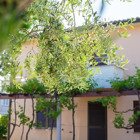 Sokolovski Apartamento