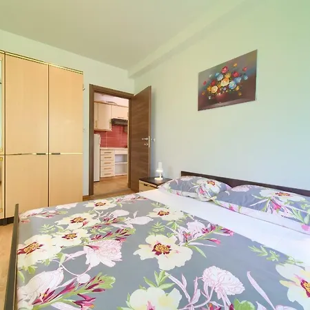 Apartment Sokolovski